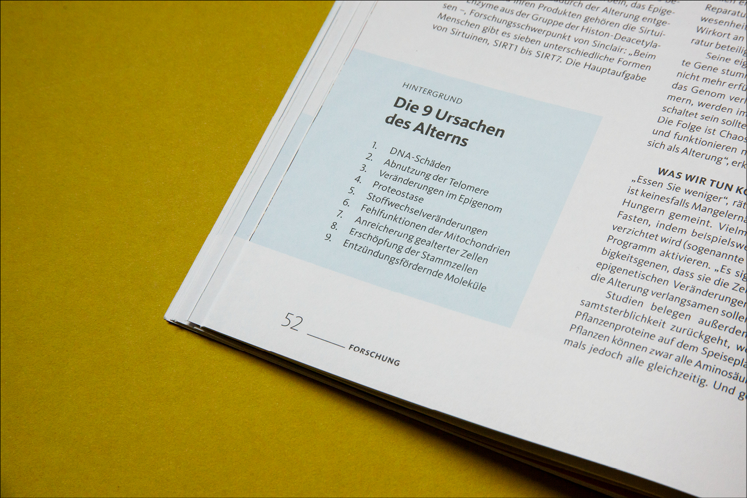 Detail Infobox