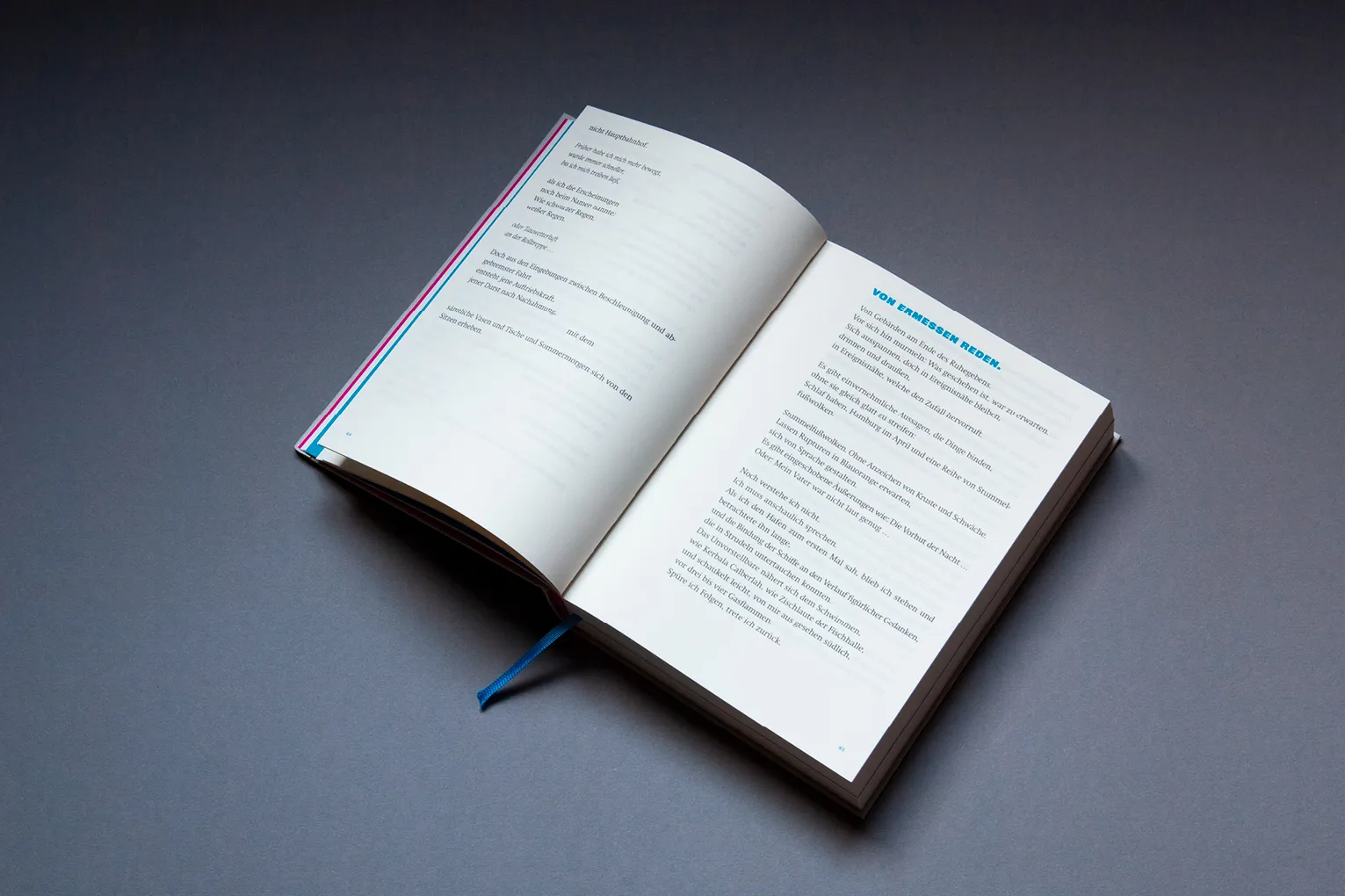 carolinrauen_buchgestaltung_ziegel_6