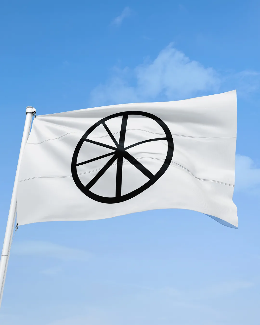 carolinrauen_democracyforpeace_3